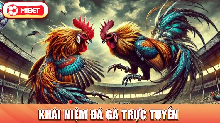 Khái niệm đá gà trực tuyến 