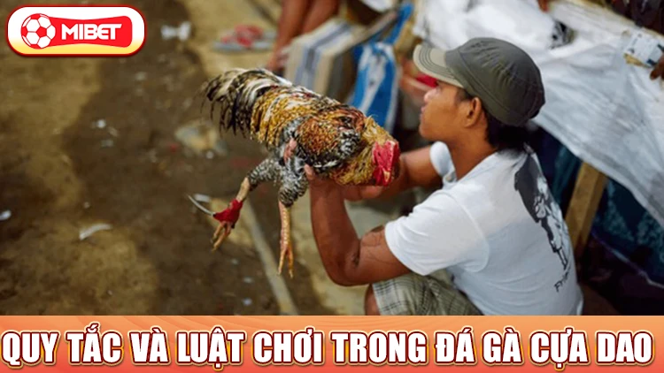 Quy tắc và luật chơi trong đá gà cựa dao 