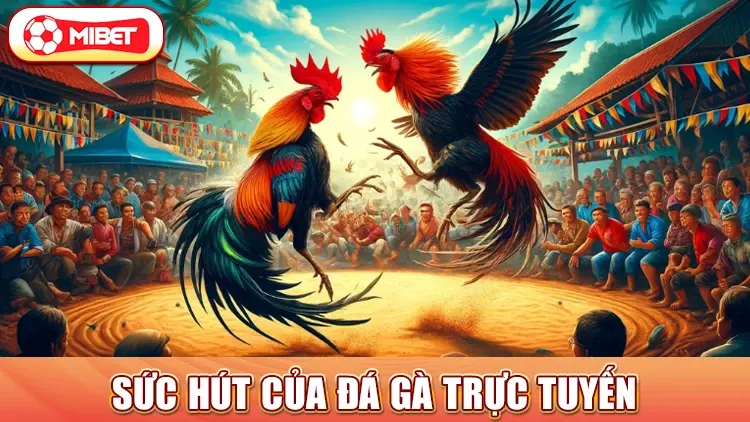 sức hút của đá gà trực tuyến