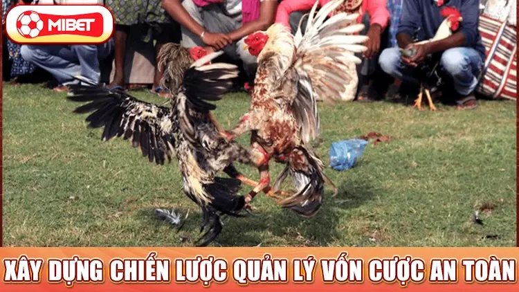 Xây dựng chiến lược quản lý vốn cược an toàn